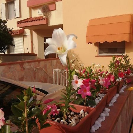 Domomea Otel Quartu SantʼElena Dış mekan fotoğraf