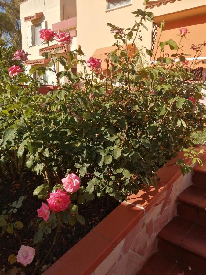 Domomea Otel Quartu SantʼElena Dış mekan fotoğraf